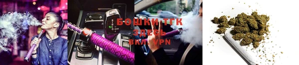 молекула духа Бронницы