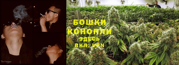 молекула духа Бронницы
