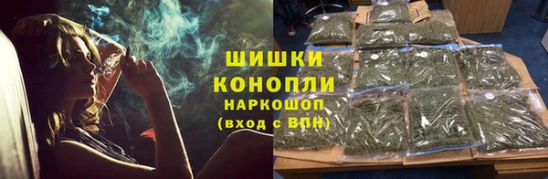 молекула духа Бронницы