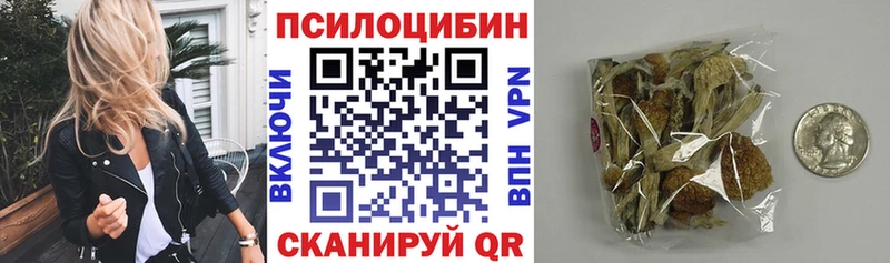 мега ССЫЛКА  Городовиковск  Галлюциногенные грибы мицелий 